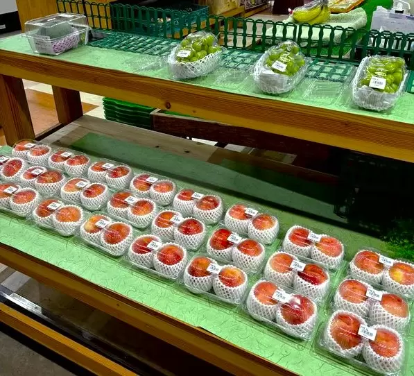 เที่ยวนันกิชิราฮามะด้วยจักรยานไฟฟ้า! แผนเที่ยวสุดคุ้ม ครบทั้งออนเซ็น ทะเล และอาหารอร่อย