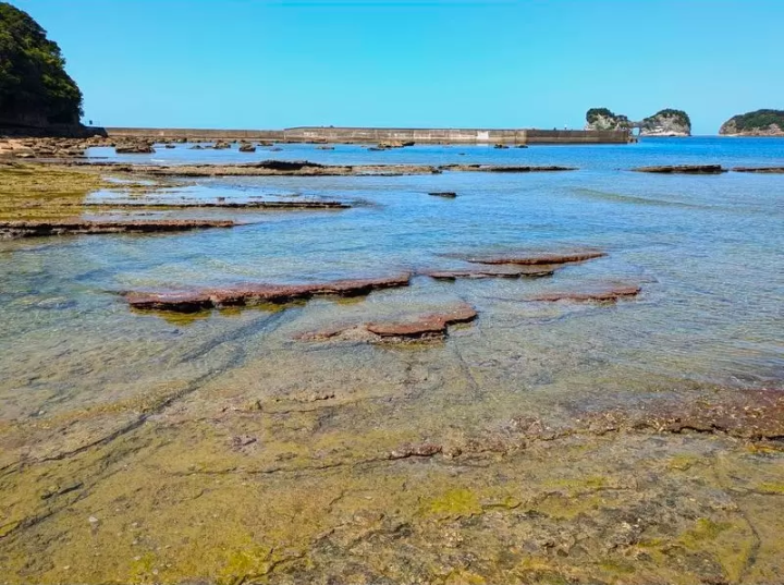 เที่ยวนันกิชิราฮามะด้วยจักรยานไฟฟ้า! แผนเที่ยวสุดคุ้ม ครบทั้งออนเซ็น ทะเล และอาหารอร่อย