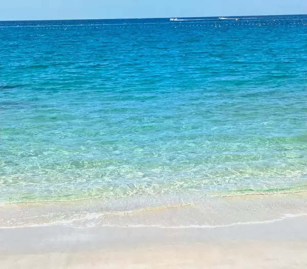 เที่ยวนันกิชิราฮามะด้วยจักรยานไฟฟ้า! แผนเที่ยวสุดคุ้ม ครบทั้งออนเซ็น ทะเล และอาหารอร่อย