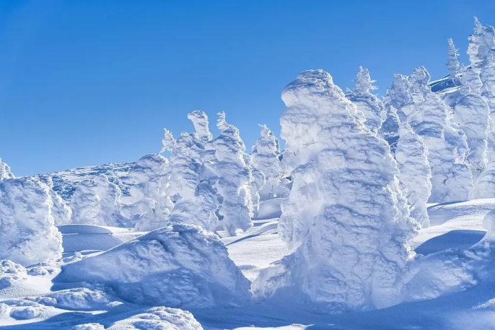 Zao Snow Monster Festival 2026