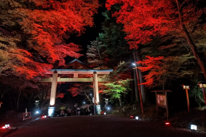 【2024年】滋賀県のおすすめ紅葉スポット10選！