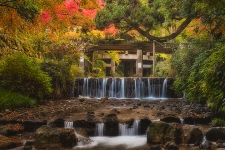 【2024年】滋賀県のおすすめ紅葉スポット10選！