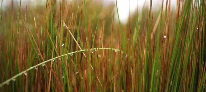 เที่ยวนันกิชิราฮามะด้วยจักรยานไฟฟ้า! แผนเที่ยวสุดคุ้ม ครบทั้งออนเซ็น ทะเล และอาหารอร่อย