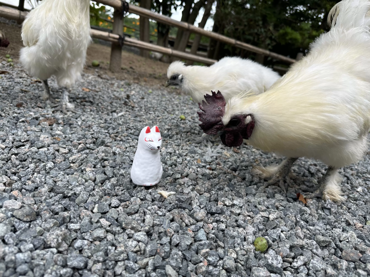 個人旅行にも団体旅行にもおすすめ「高柴デコ屋敷」