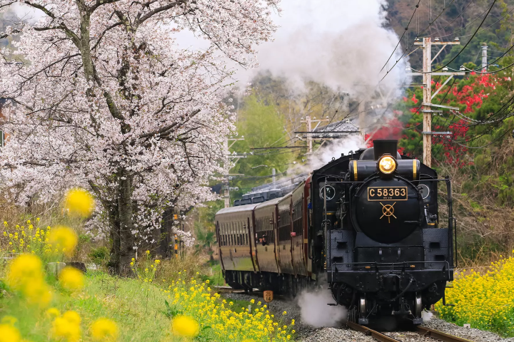 [Saitama, Chichibu / Nagatoro] A thorough explanation of the local railway "Chichibu Railway"! We will introduce how to ride and a discount ticket that allows you to get on and off multiple times.