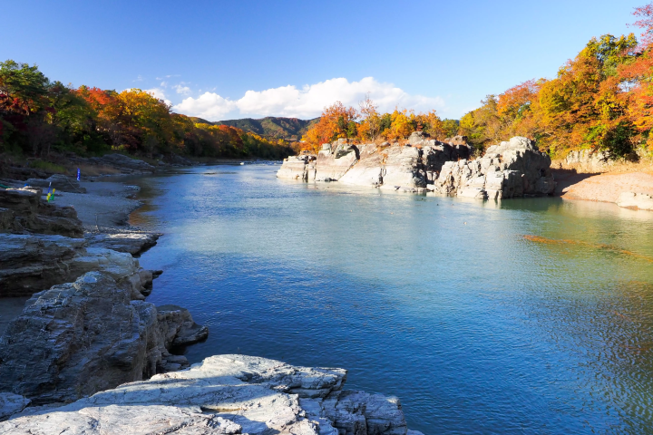 Best time to see autumn leaves: Mid-November to late November 