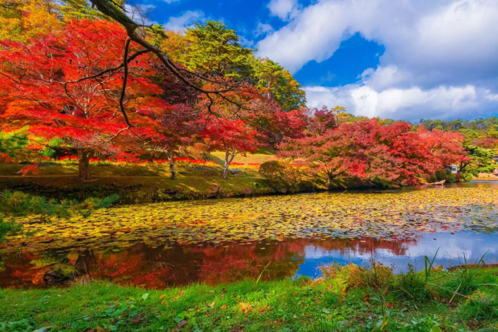 【2024】福島県の美しい紅葉スポット！穴場から絶対行きたいライトアップまで