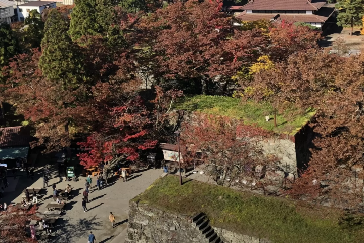 【2024】福島県の美しい紅葉スポット！穴場から絶対行きたいライトアップまで