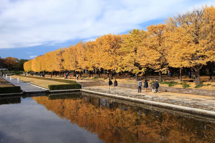 昭和記念公園のイメージ画像