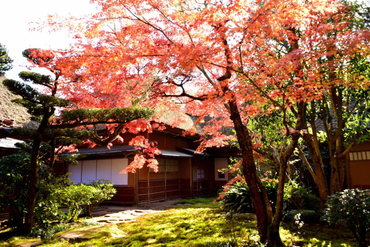 九年庵のイメージ画像