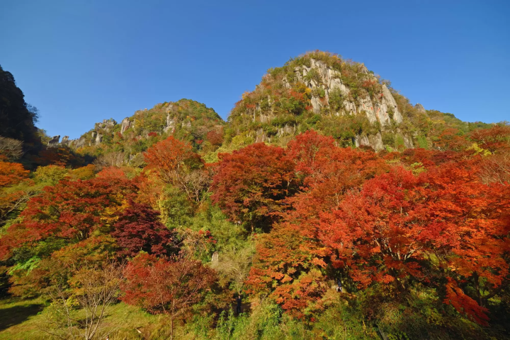 深耶馬溪のイメージ画像