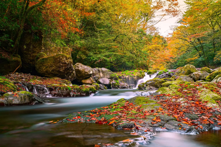 菊池渓谷のイメージ画像
