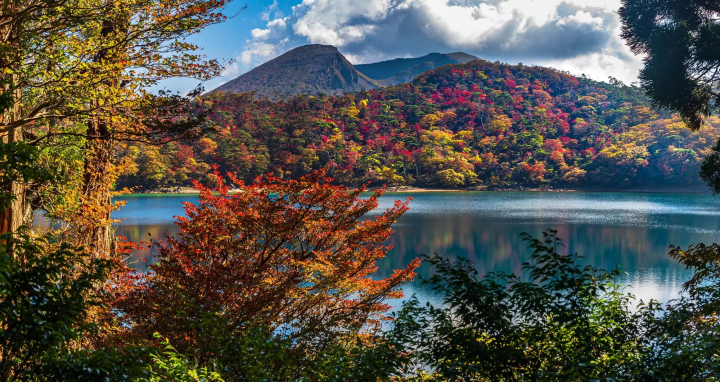 霧島のイメージ画像