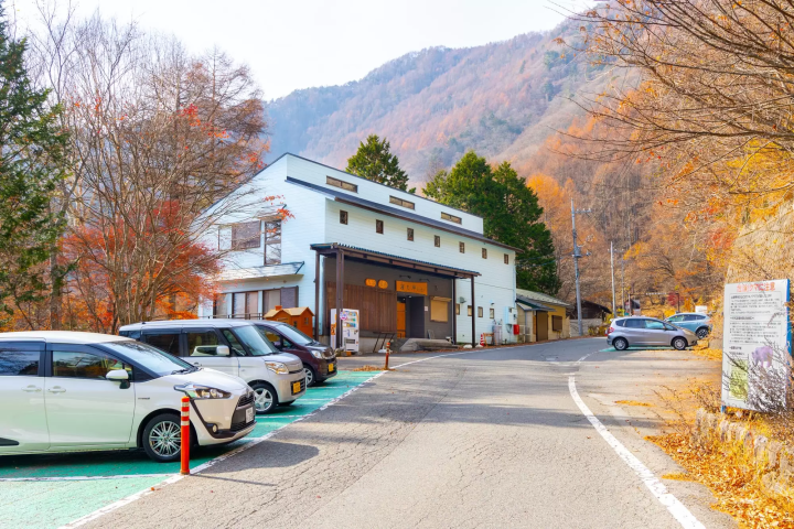 山梨の紅葉のイメージ画