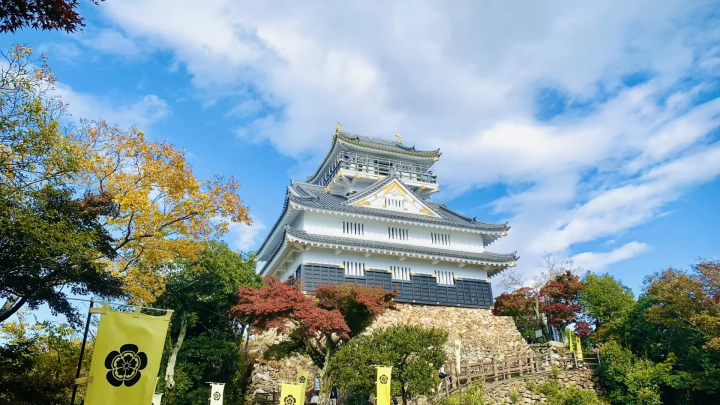 岐阜城の紅葉のイメージ画像