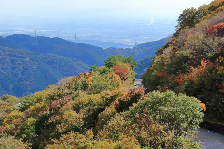 伊吹山ドライブウェイの紅葉のイメージ画像