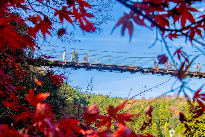 多良峡の紅葉のイメージ画像