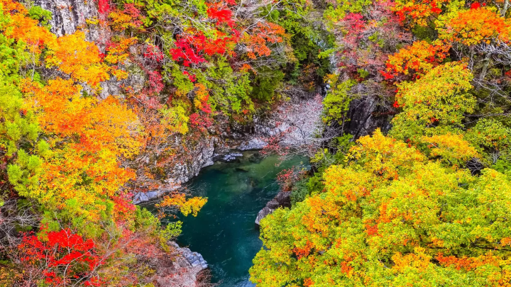 付知峡の紅葉のイメージ画像