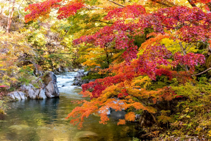 昇仙峡の紅葉のイメージ画像