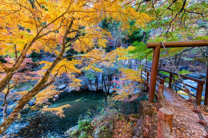 昇仙峡の紅葉のイメージ画像