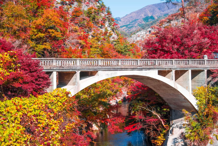 昇仙峡の紅葉のイメージ画像