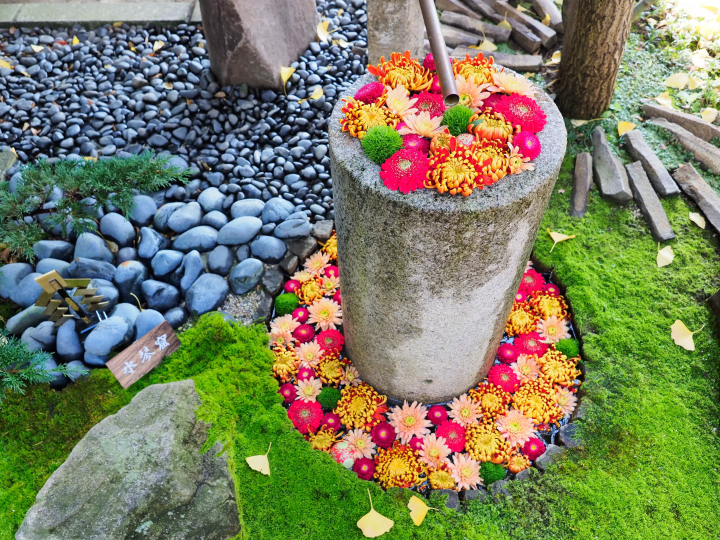 [Updated for 2024] Introducing all the recommended tourist spots on Saitama Prefecture's local line, Chichibu Railway!