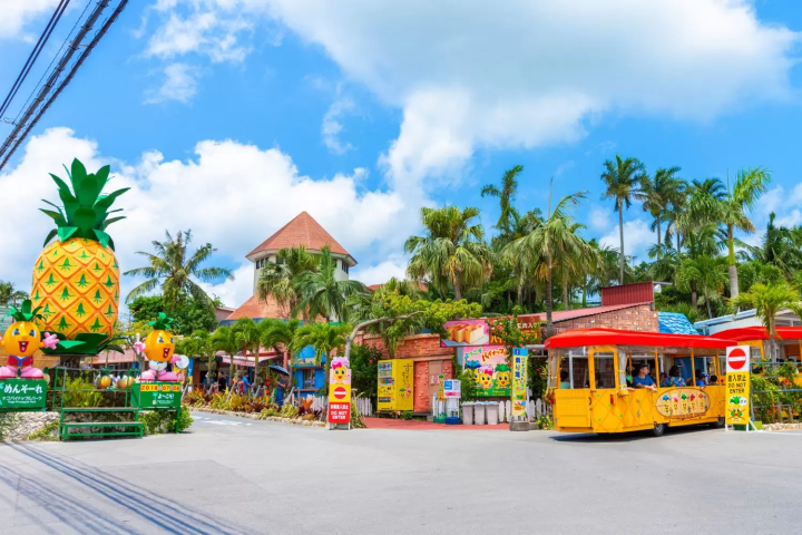 名護鳳梨園:鳳梨與熱帶水果主題公園
