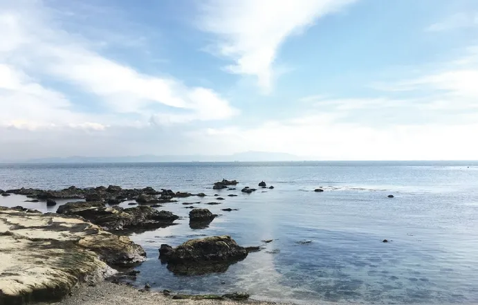 從東京出發一小時即可到達！美麗的海邊推薦的觀光景點