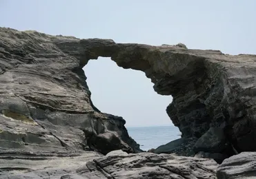 從東京出發一小時即可到達！美麗的海邊推薦的觀光景點