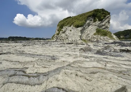 從東京出發一小時即可到達！美麗的海邊推薦的觀光景點