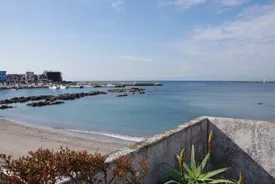 從東京出發一小時即可到達！美麗的海邊推薦的觀光景點