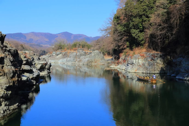 [ฤดูหนาว 2025] เมืองนากาโทโระ จังหวัดไซตามะ ไปดูดอกไม้เมืองหนาว "รูไบ" ที่บานสะพรั่งบนท้องฟ้าฤดูหนาวที่แจ่มใส