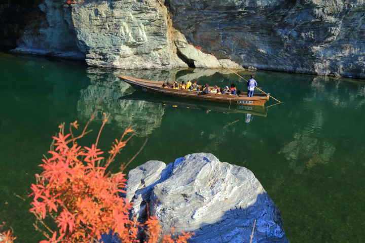 [ฤดูหนาว 2025] เมืองนากาโทโระ จังหวัดไซตามะ ไปดูดอกไม้เมืองหนาว "รูไบ" ที่บานสะพรั่งบนท้องฟ้าฤดูหนาวที่แจ่มใส