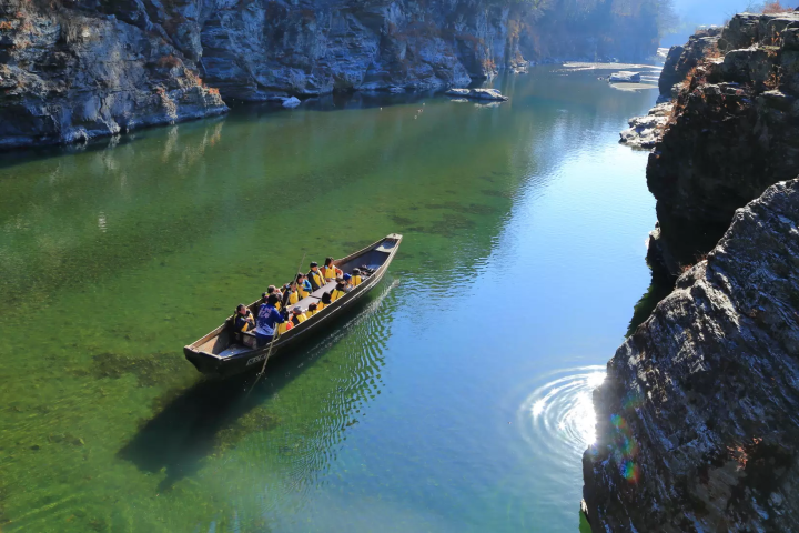 [ฤดูหนาว 2025] เมืองนากาโทโระ จังหวัดไซตามะ ไปดูดอกไม้เมืองหนาว "รูไบ" ที่บานสะพรั่งบนท้องฟ้าฤดูหนาวที่แจ่มใส