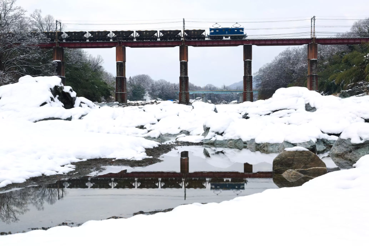 [ฤดูหนาว 2025] เมืองนากาโทโระ จังหวัดไซตามะ ไปดูดอกไม้เมืองหนาว "รูไบ" ที่บานสะพรั่งบนท้องฟ้าฤดูหนาวที่แจ่มใส