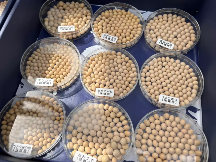 体验传统和工艺！ “360°米泽开放工厂”