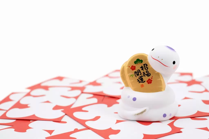 The Year of The Snake