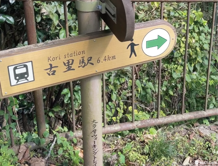 奧多摩不只有湖！奧多摩Ohtama walking trail能踏水的清涼健行路線全公開