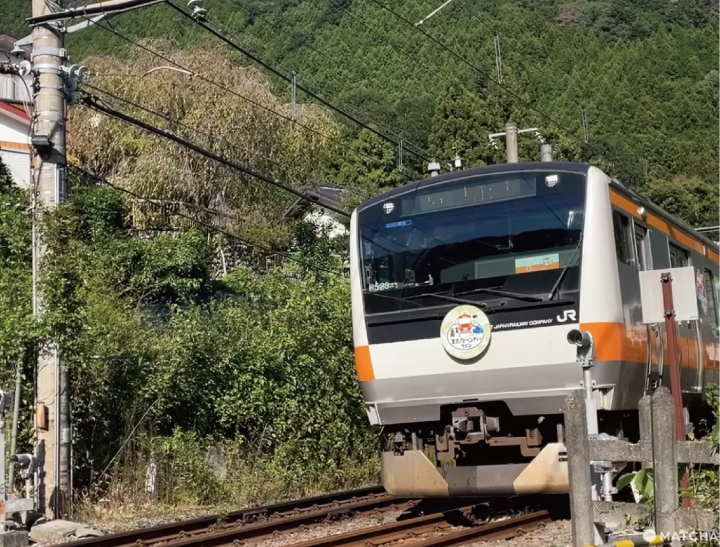 奧多摩不只有湖！奧多摩Ohtama walking trail能踏水的清涼健行路線全公開