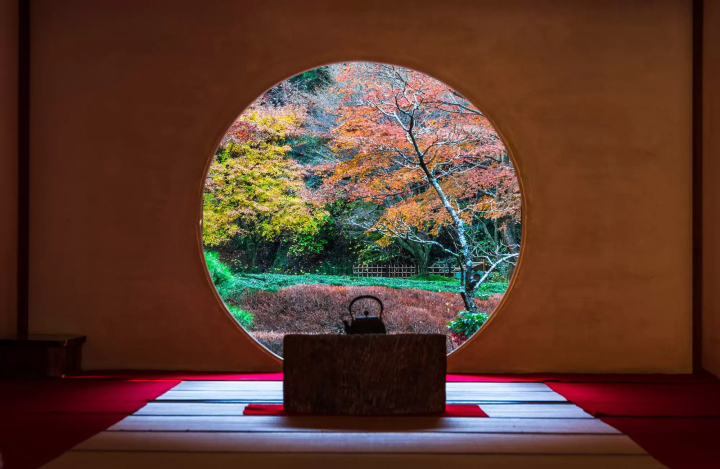 明月院の紅葉のイメージ画像