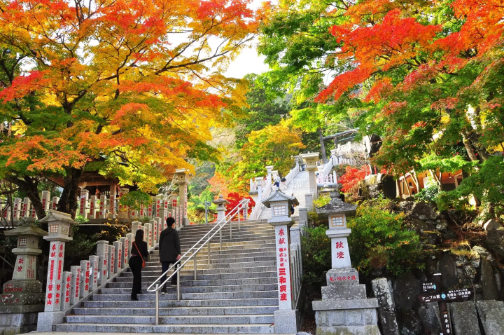 大山阿夫利神社の紅葉のイメージ画像