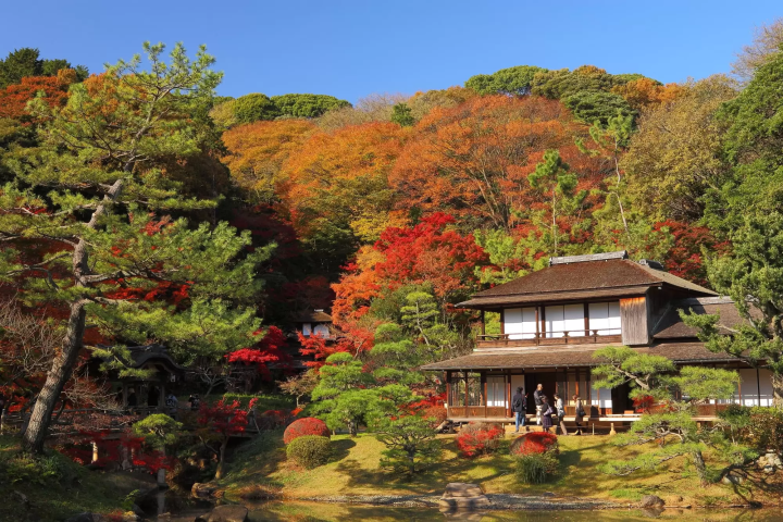 三溪園の紅葉のイメージ画像