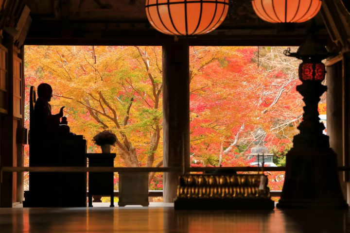 長谷寺の紅葉のイメージ画像