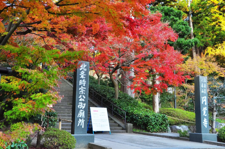 円覚寺の紅葉のイメージ画像