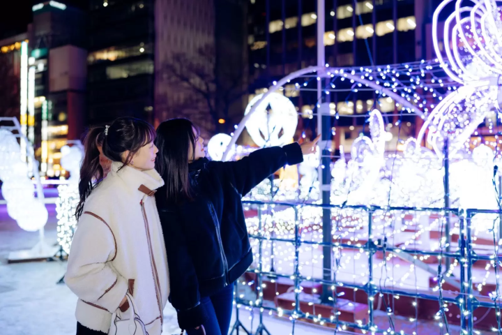 有札幌白色燈樹節