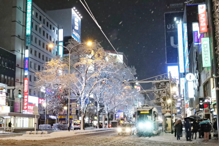 北海道札幌白色燈樹節