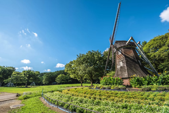名城公園的圖像