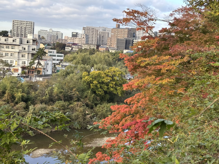 [Walking around Sendai in the autumn foliage season] Easy access from Sendai Station