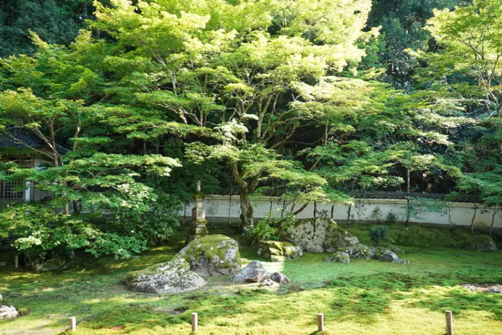 在被自然包围的出石坐禅体验