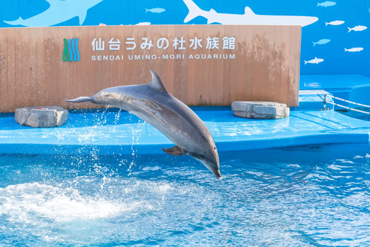 仙台海洋森林水族館